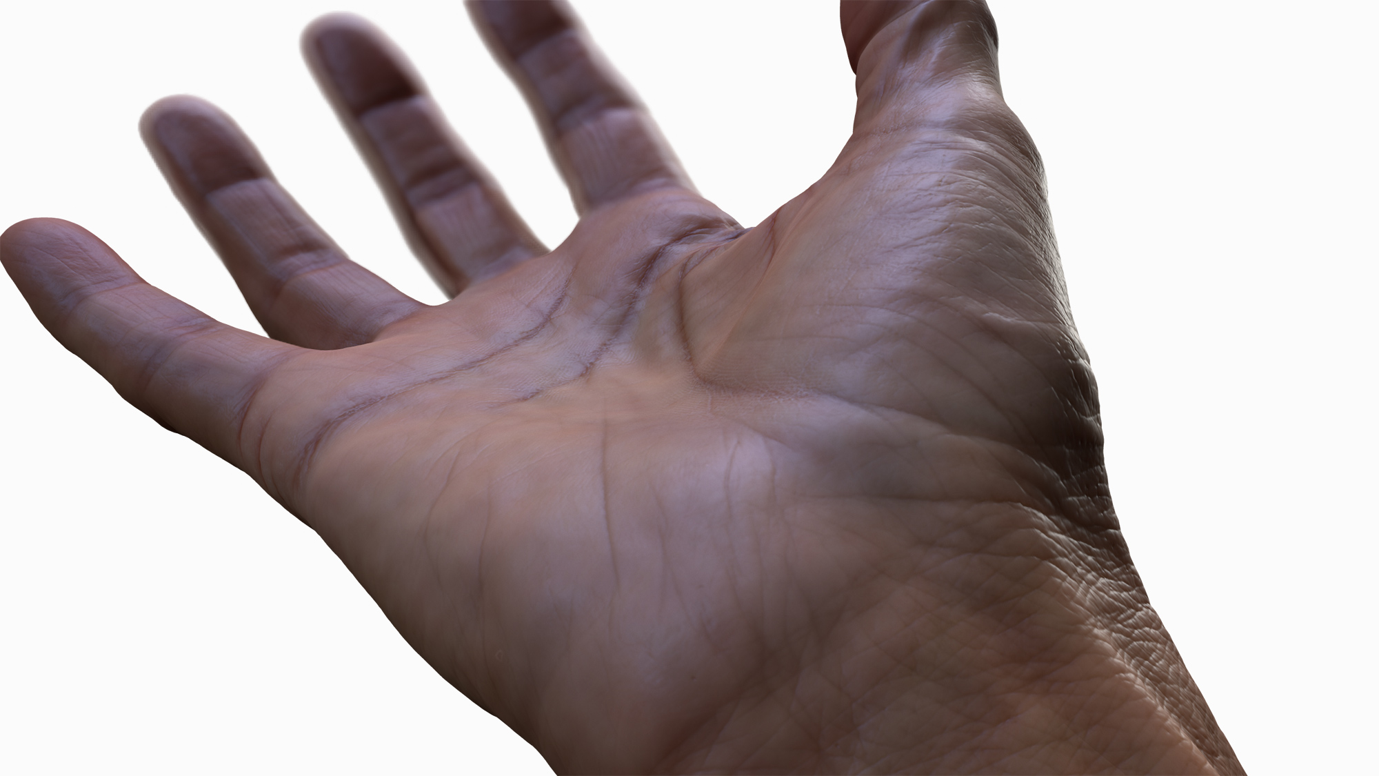 Hand Realtime Model